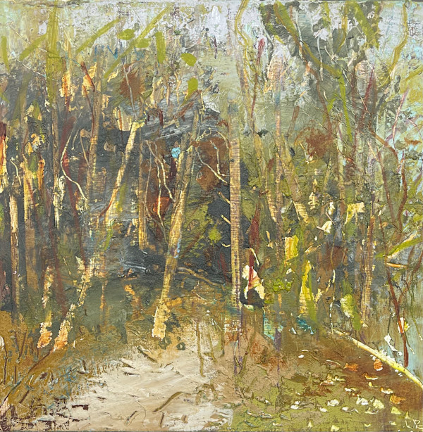 A Clearing by Lesley Birch