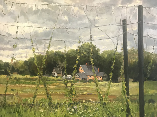Through the Hops by Mike MacLean Fine Art