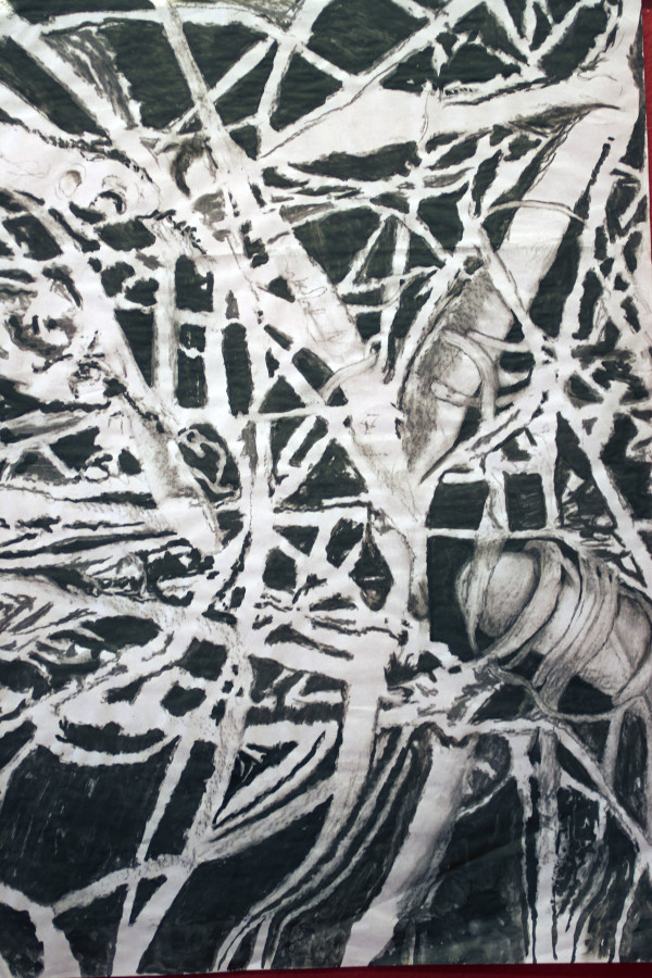MAP-BRANCHES 2, Drawing by Beatriz Mejia-Krumbein