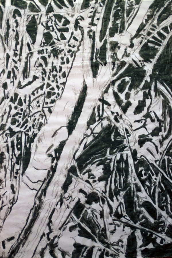 MAP-BRANCHES 3, Drawing by Beatriz Mejia-Krumbein
