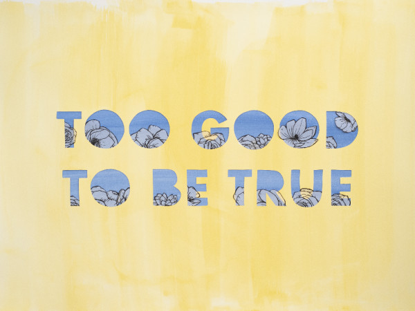 Too Good To Be True by Emily Hoerdemann