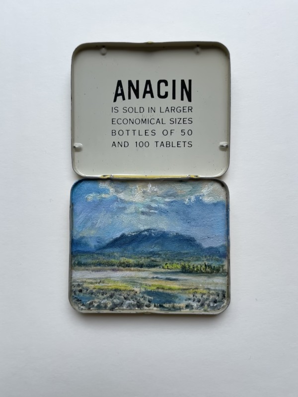 Fanny Bay, Anacin Tin by Shelley Vanderbyl