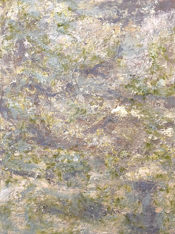 Lichen by Shelley Vanderbyl