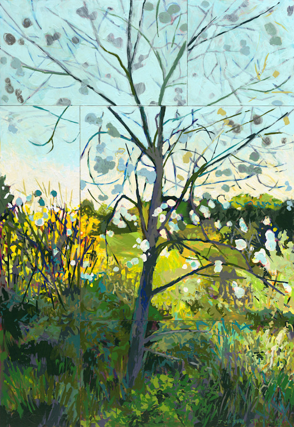 Wild Cherry by Justin Shull, Image 1.