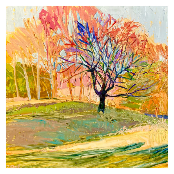 Elm With Outstretched Branch by Justin Shull Art Studio, Image 1.