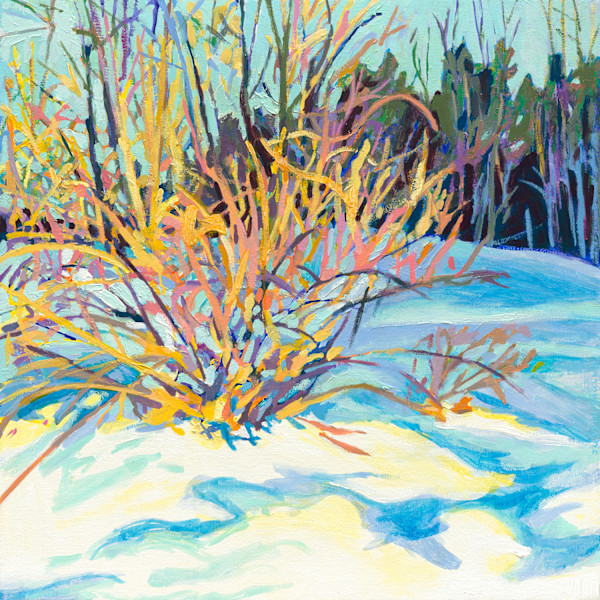 Winter Forsythia by Justin Shull Art Studio