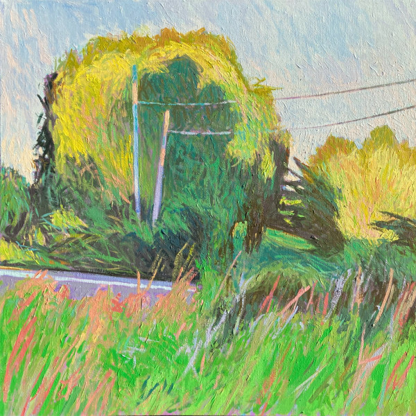 Shadows in the Willows by Justin Shull Art Studio