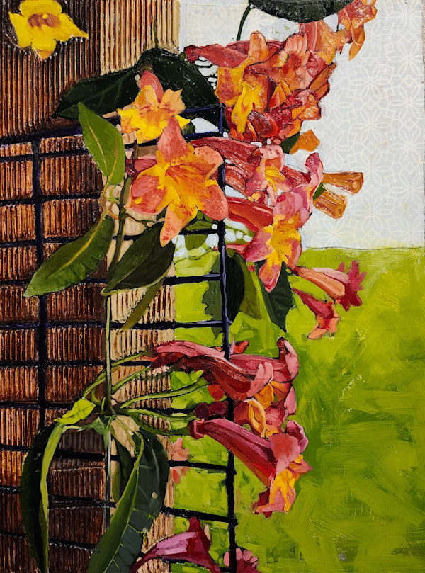 Following the Sun by Jenna Lineweaver