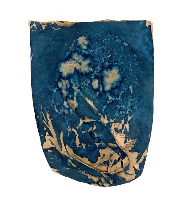 Dubl Life 2 by Caroline Fraser