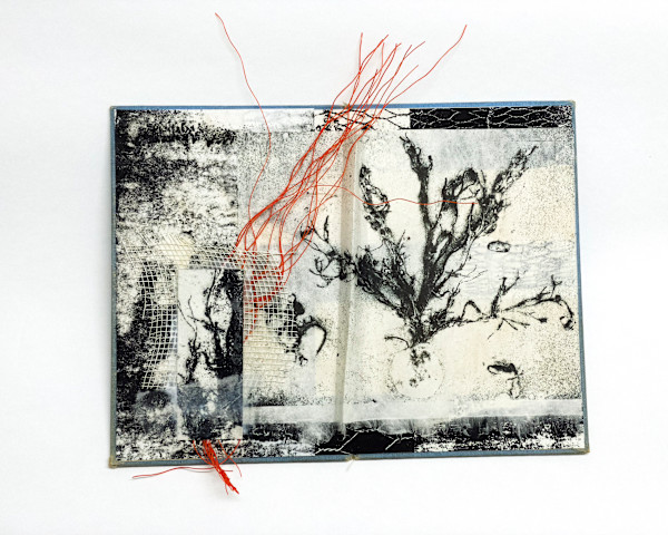 An Unstable Edition by Caroline Fraser