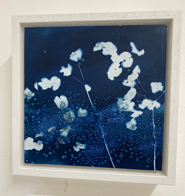 Seedheads (1/1) by Caroline Fraser