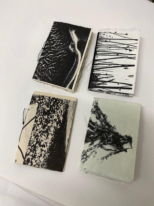 Rye Harbour slot books by Caroline Fraser, Image 1.