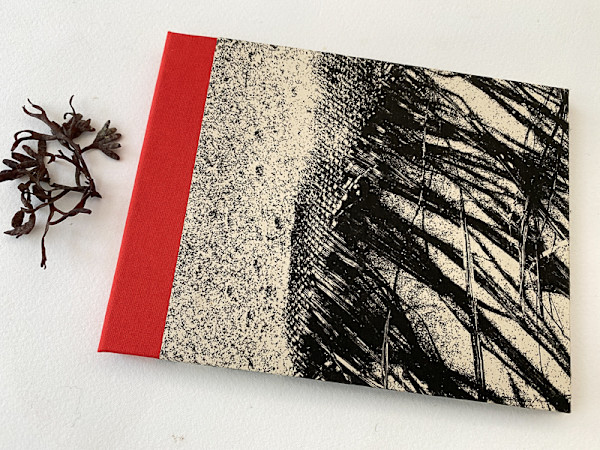 Holding the Line -  pansion K156, version 2 by Caroline Fraser, Image 1.