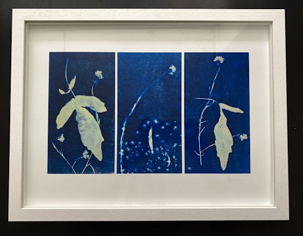 Under the Same Sun by Caroline Fraser, Image 1.