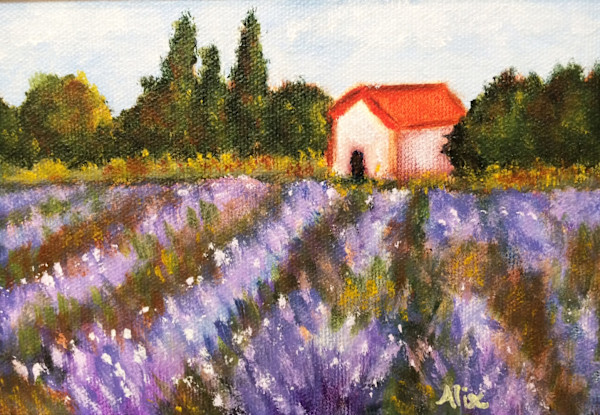 Afternoon in the Lavender Fields