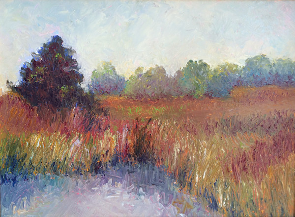 Ashley River Impressions