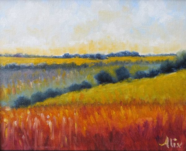 Color Fields by Alexandra Kassing