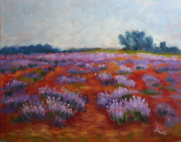 Lavender Polka by Alexandra Kassing