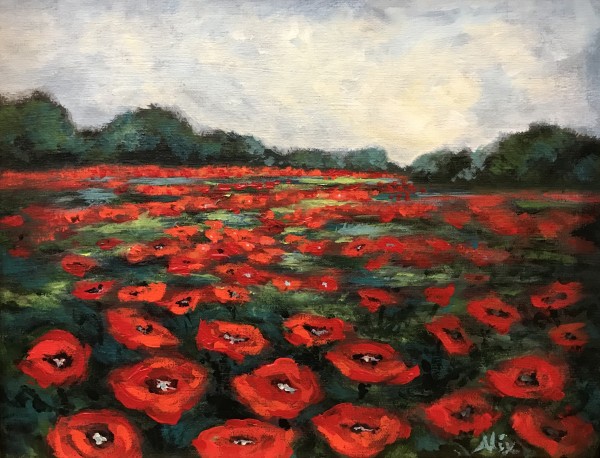 Poppies at First Light by Alexandra Kassing