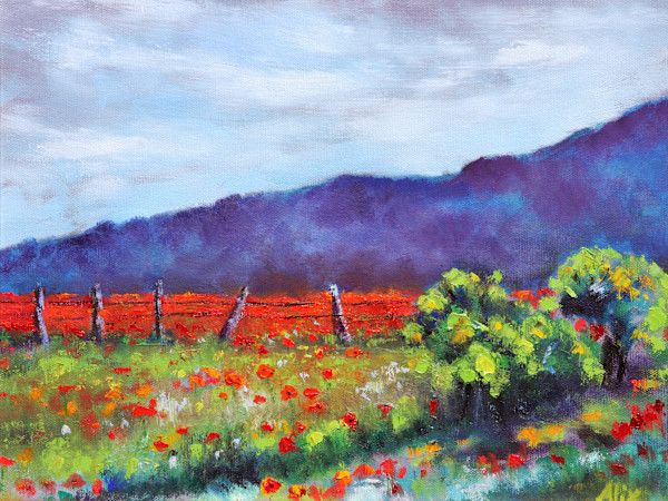 Poppies in the Spanish Hills by Alexandra Kassing