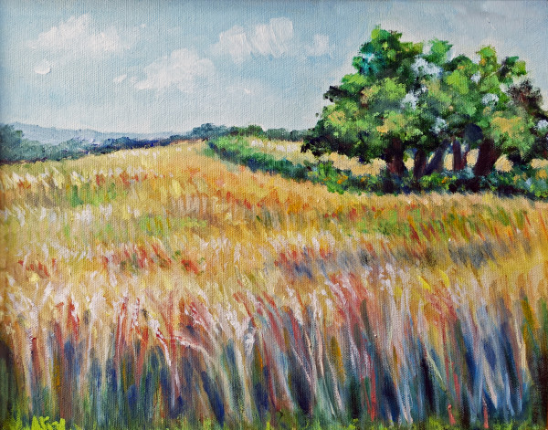 Wheat Field by the Old Homestead by Alexandra Kassing