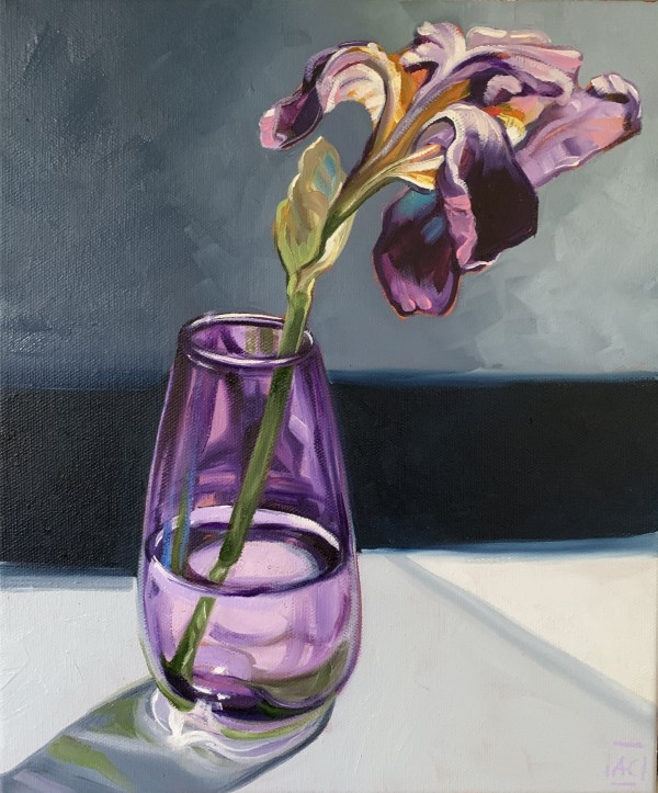 Iris - Purple Rain by Alicia Cornwell