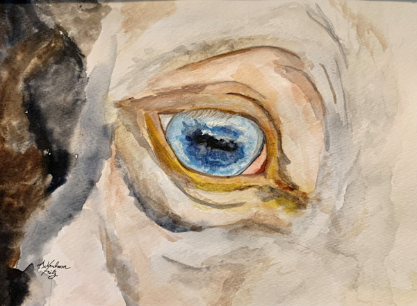 Comanche Blue by Alexandra Verboom Fritz