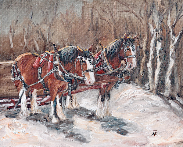 Winter Team by Alexandra Verboom Fritz