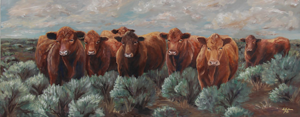 Red Heifers in Sage by Alexandra Verboom Fritz