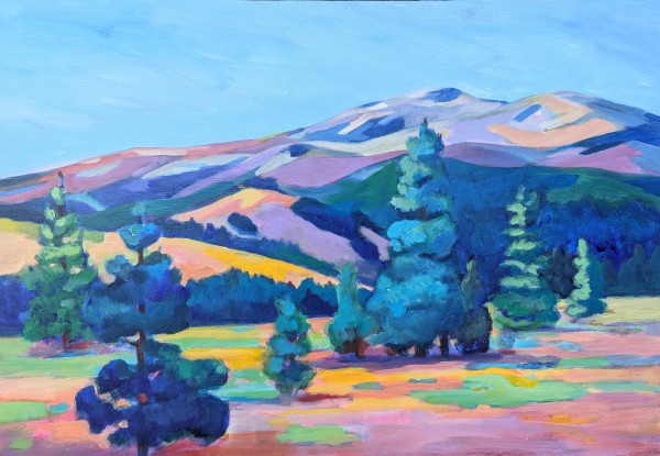 Donner Vista by Stephanie Maclean