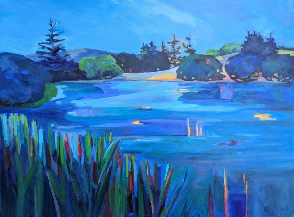 Alpine Pond by Stephanie Maclean