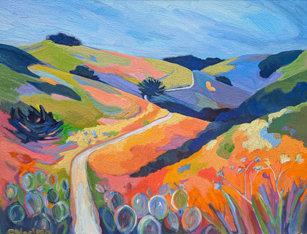 Garrapata Trail by Stephanie Maclean
