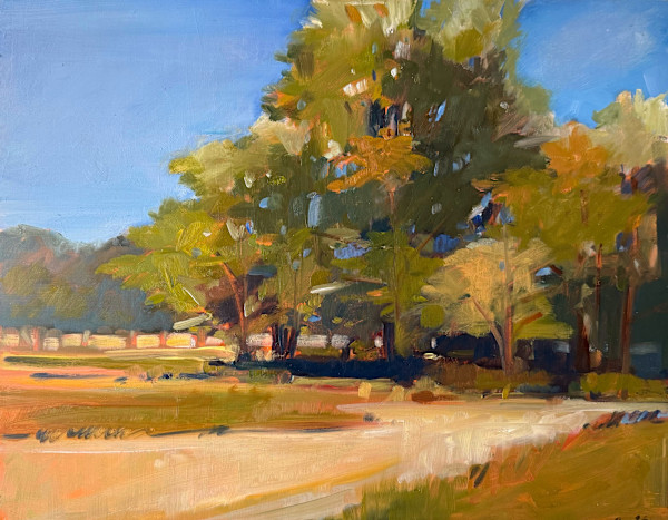 Meetinghouse Field by Anne Besse-Shepherd