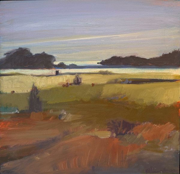 Wasque Sand Plain by Anne Besse-Shepherd