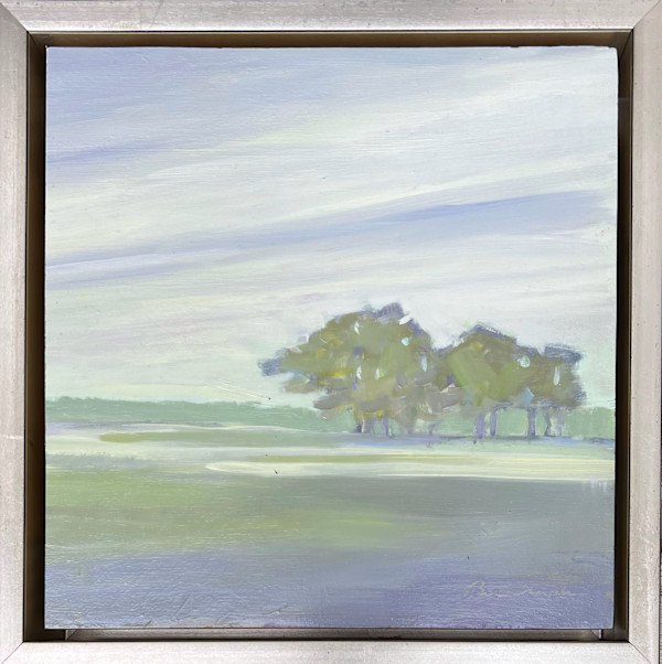 A Foggy Start by Anne Besse-Shepherd
