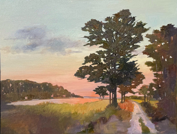 Sunset at Mink Meadows Pond by Anne Besse-Shepherd