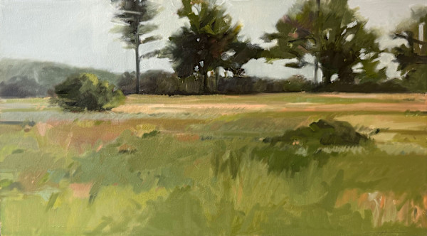 Quansoo Field by Anne Besse-Shepherd, Image 1.