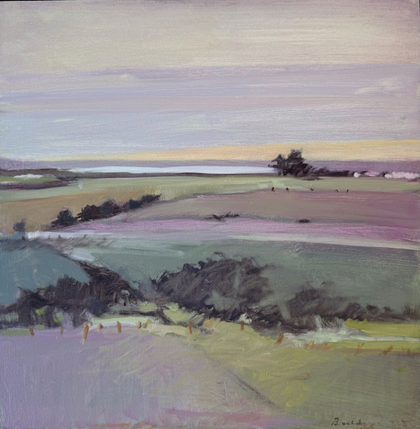 Stonewalls at Menemsha Hills by Anne Besse-Shepherd