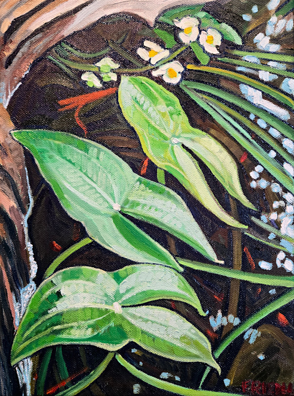Gentle Beauty by Heather Friedli