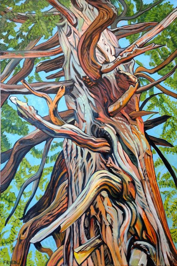 Nookomis Giizhik "Grandmother Cedar" by Heather Friedli