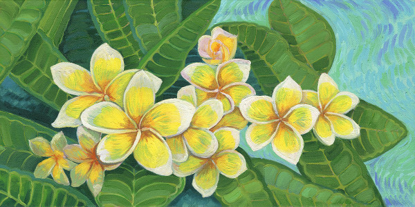 Plumeria by Heather Friedli