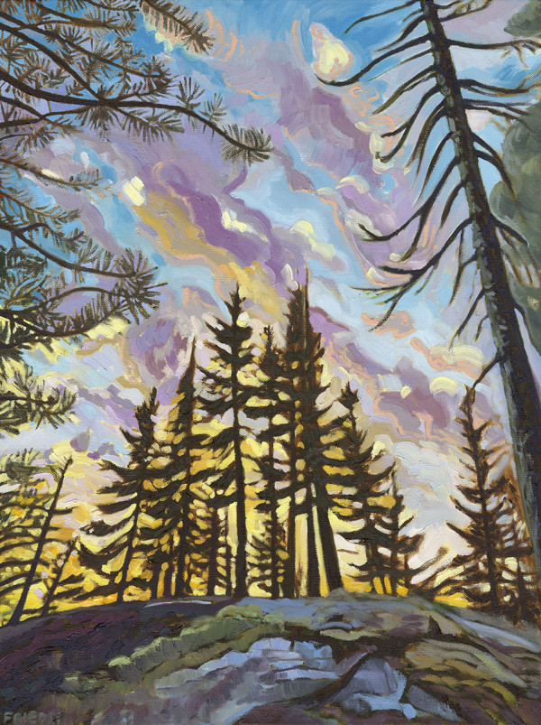 Northern Impressions by Heather Friedli