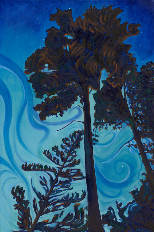 Nocturne Pines by Heather Friedli