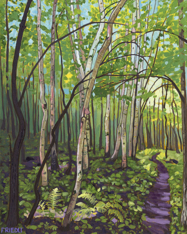 Birches by Heather Friedli