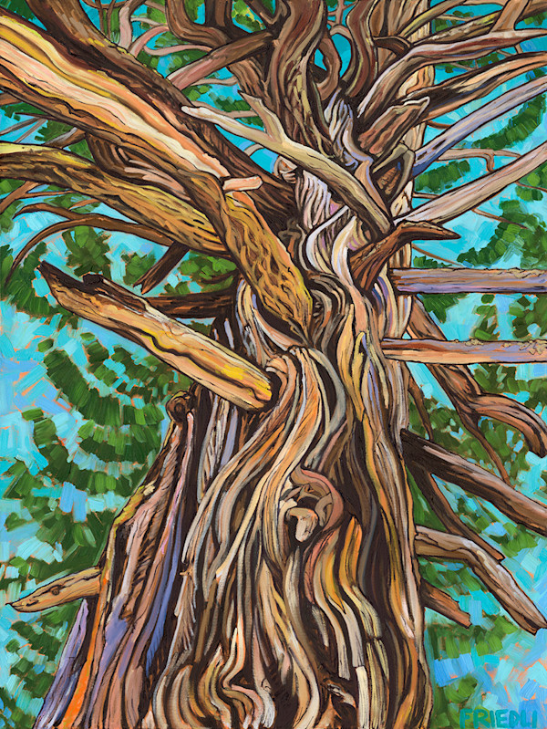 Ambrosia Memories by Heather Friedli