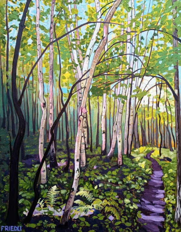 Birches by Heather Friedli