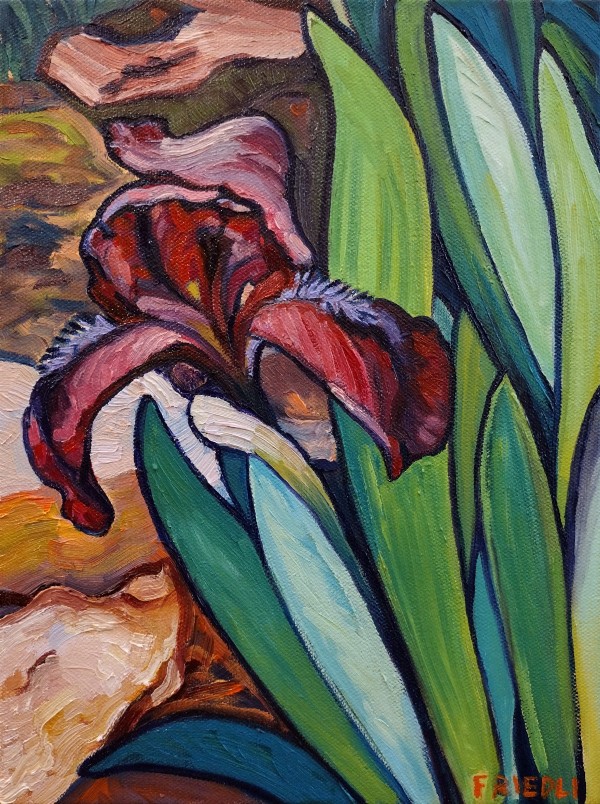Irresistible Iris by Heather Friedli