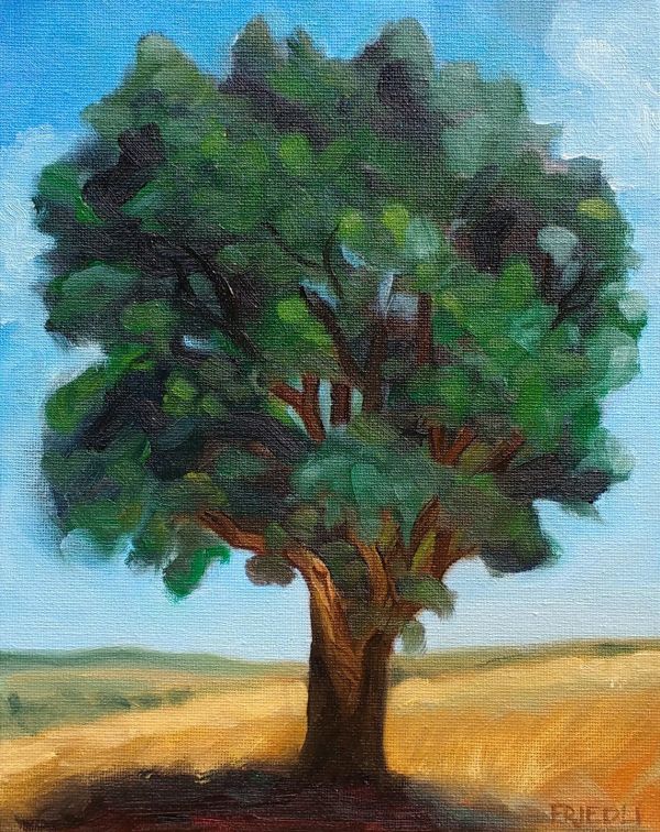 White Oak in Savana by Heather Friedli