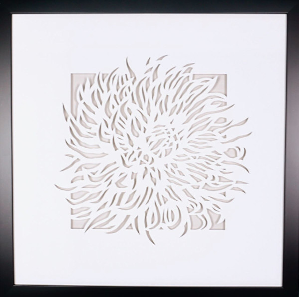 Anemone by Daniel Voelker