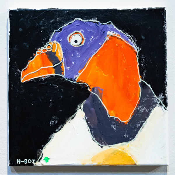 King Vulture by Henry Zimmer